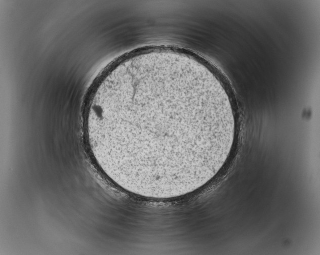 X0000115000927200911231201