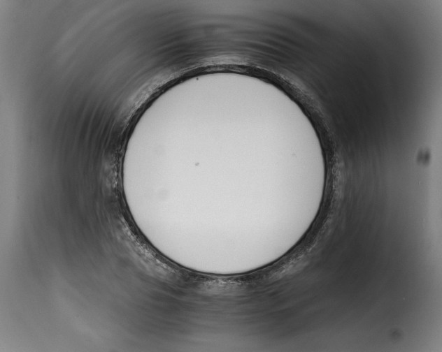 X0000115000929200911231201