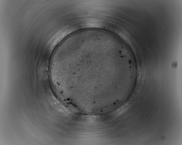 X0000115000930200911231201