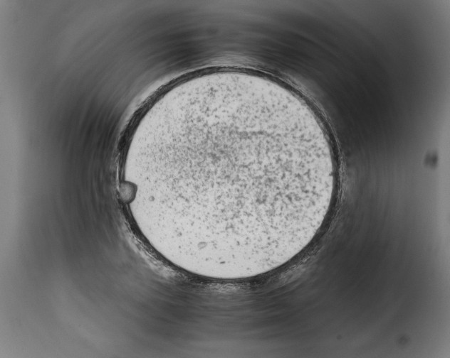 X0000115000931200911231201