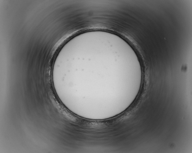 X0000115000933200911231201