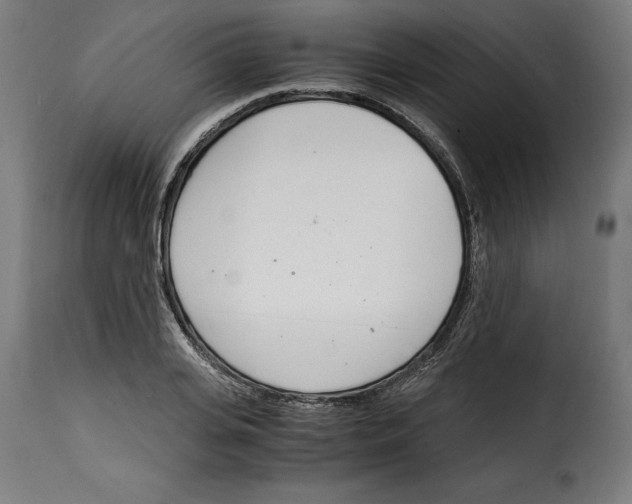 X0000115000935200911231201