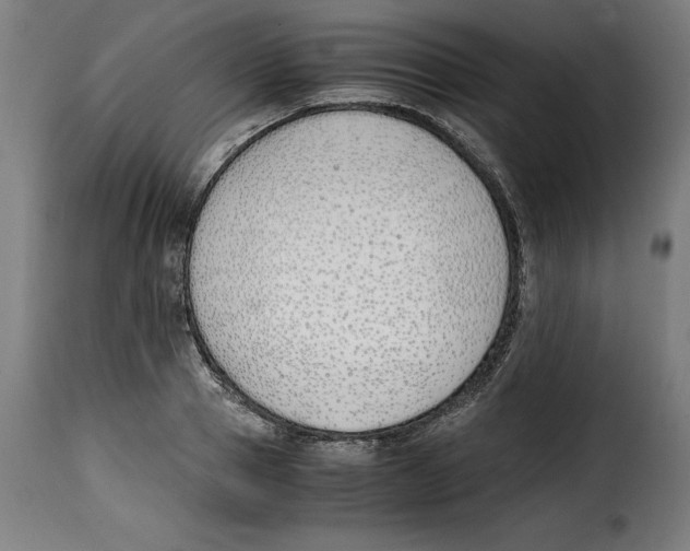 X0000115000937200911231201