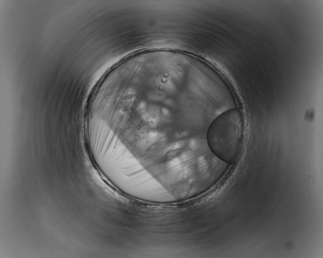 X0000115000941200911231201