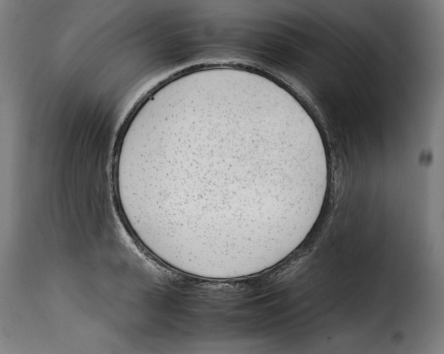 X0000115000943200911231201