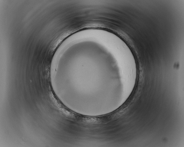 X0000115000945200911231201