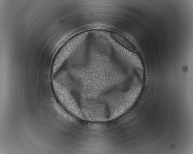 X0000115000946200911231201