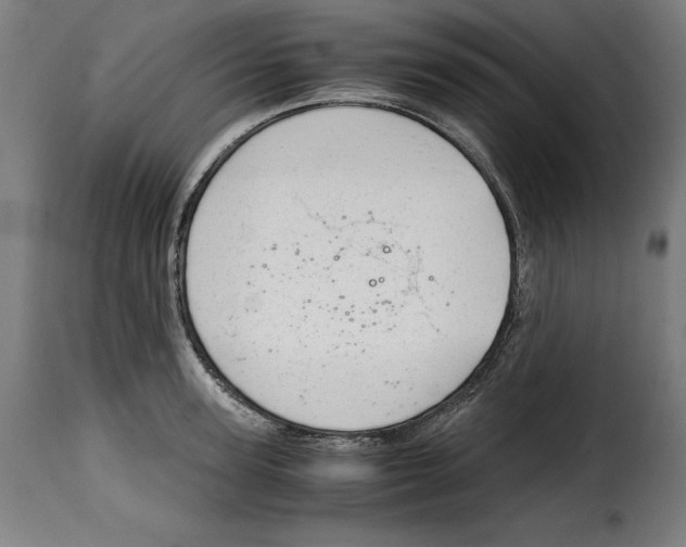 X0000115000947200911231201