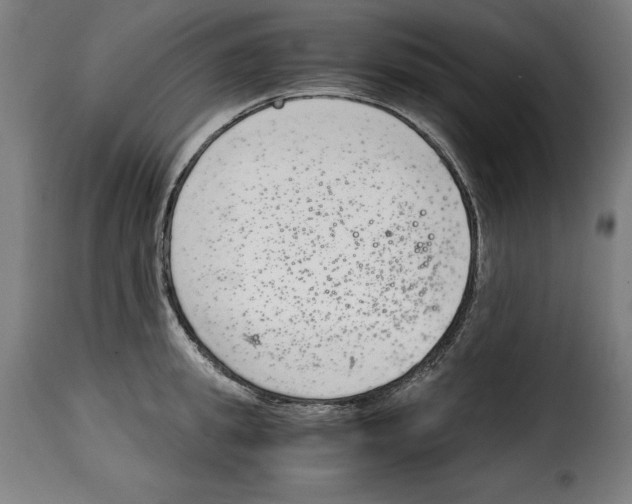 X0000115000949200911231201