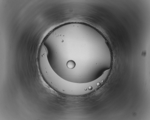 X0000115000950200911231201