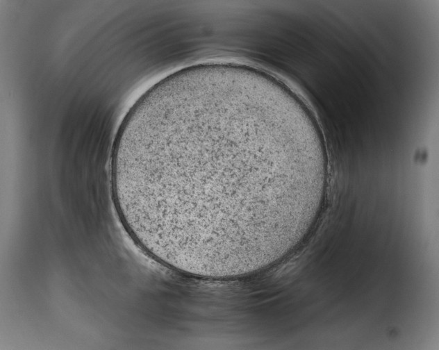 X0000115000951200911231201