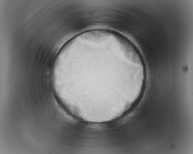 X0000115000953200911231201