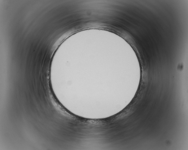 X0000115000954200911231201