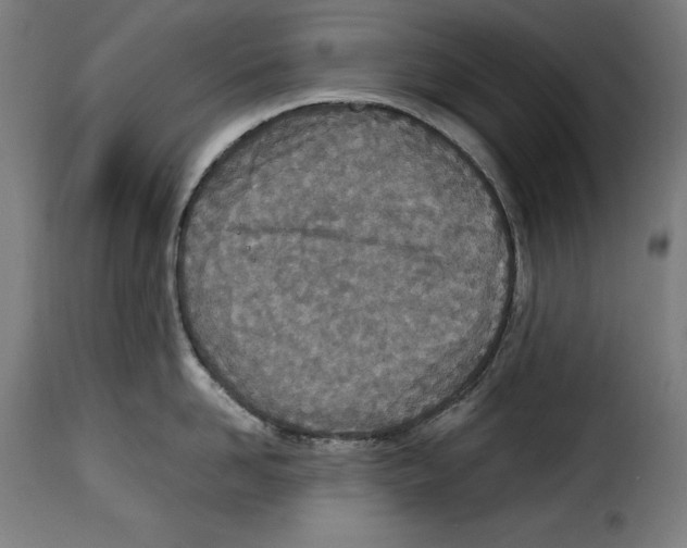 X0000115000958200911231201