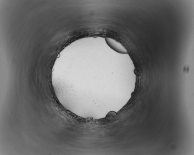 X0000115000961200911231201