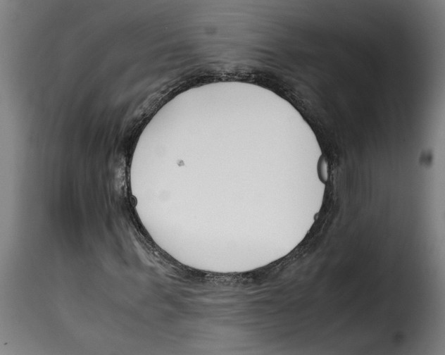 X0000115000963200911231201