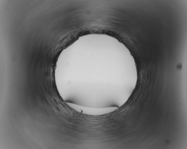 X0000115000964200911231201