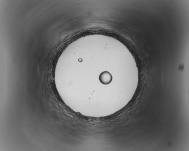 X0000115000965200911231201