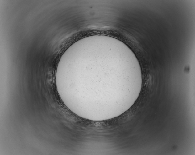 X0000115000966200911231201