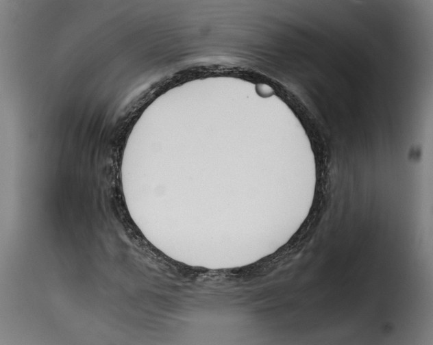 X0000115000967200911231201