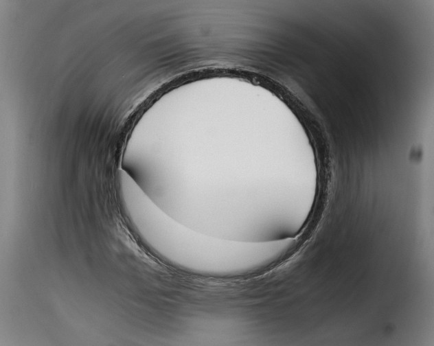 X0000115000969200911231201