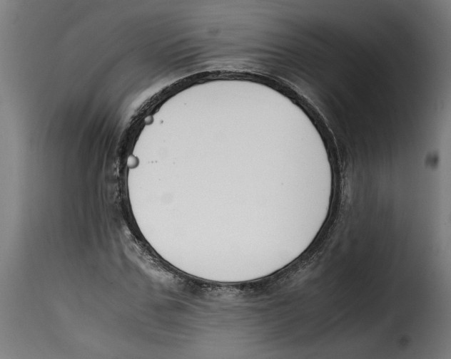 X0000115000971200911231201