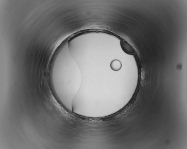 X0000115000972200911231201