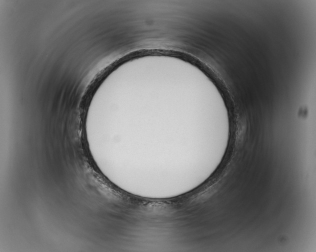 X0000115000974200911231201