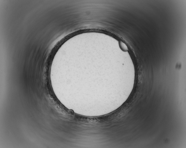 X0000115000975200911231201