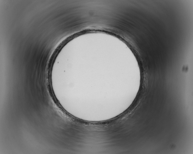 X0000115000976200911231200