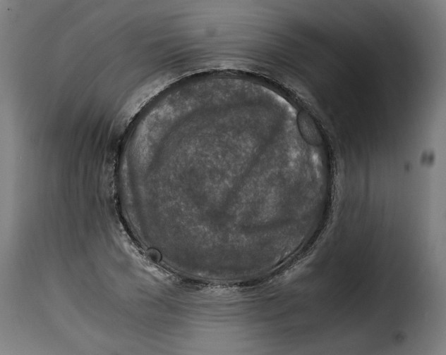 X0000115000977200911231200