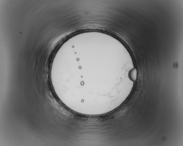 X0000115000979200911231200