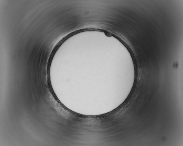 X0000115000980200911231200