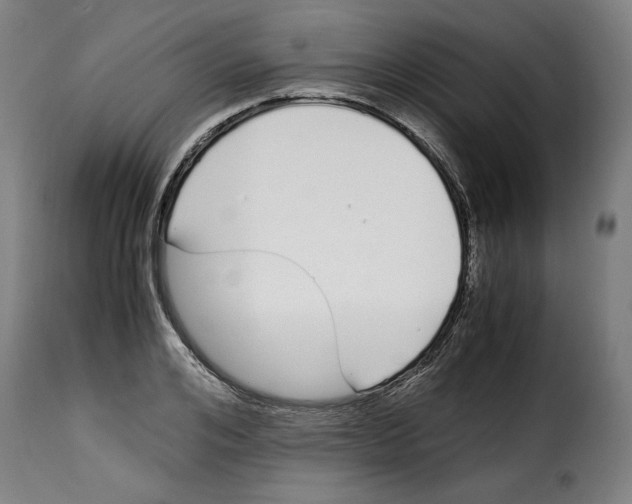 X0000115000984200911231200