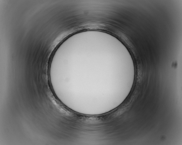 X0000115000986200911231200