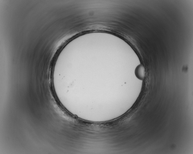 X0000115000987200911231200