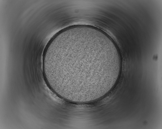 X0000115000988200911231200