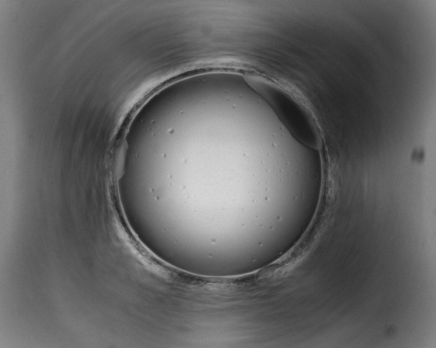 X0000115000989200911231200