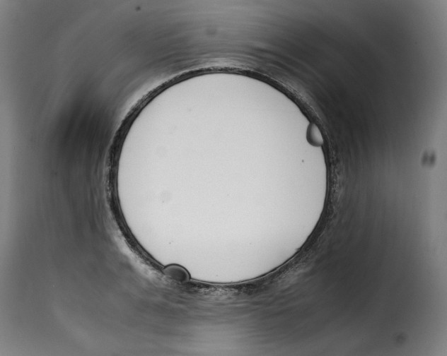 X0000115000991200911231200