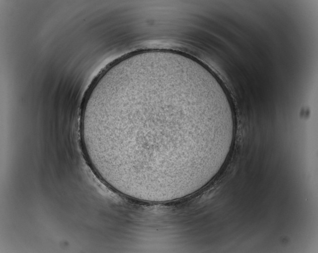 X0000115000992200911231200