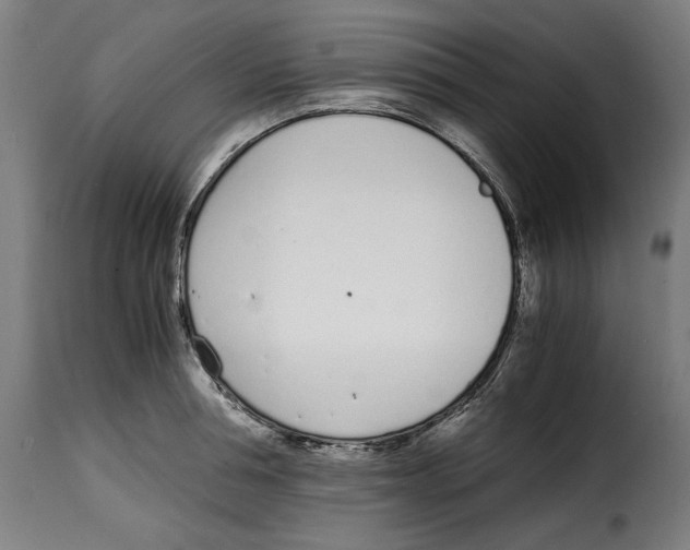 X0000115000994200911231200