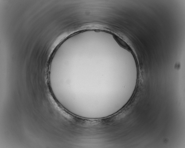 X0000115000997200911231200