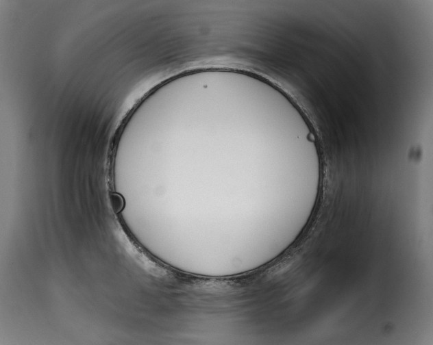 X0000115000998200911231200