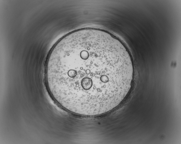 X0000115000999200911231200