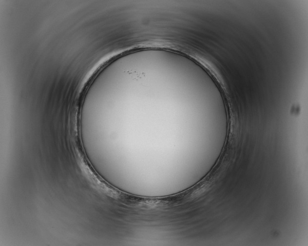 X0000115001000200911231200