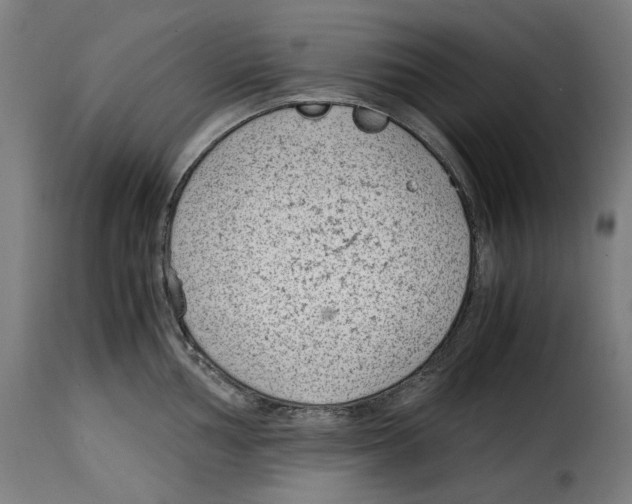 X0000115001002200911231200