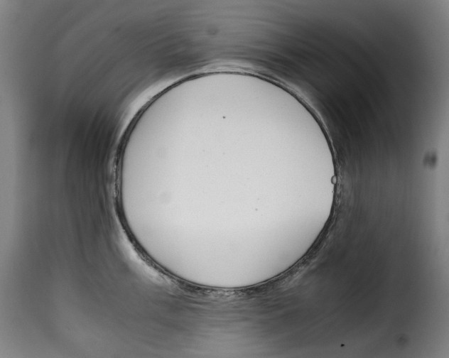 X0000115001003200911231200