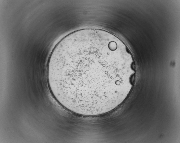 X0000115001004200911231200