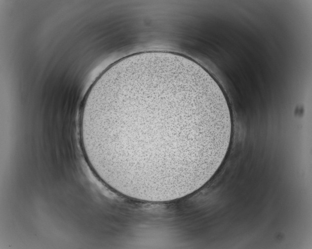 X0000115001006200911231200