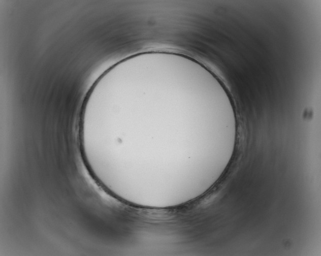 X0000115001007200911231200